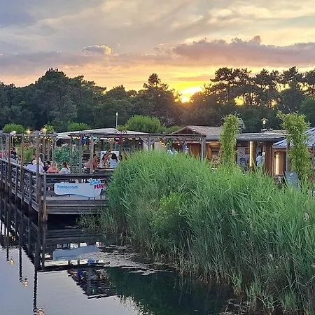 Jardin Les Viviers Cap-ferret