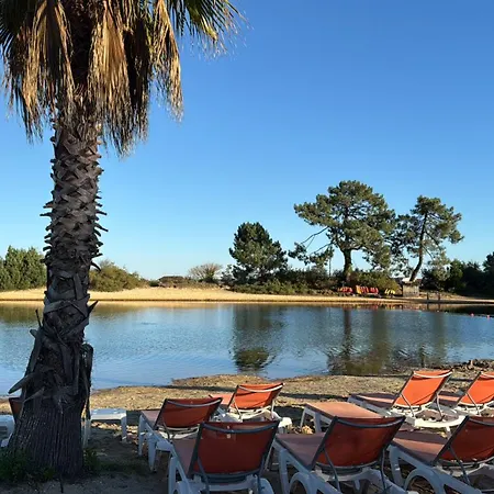 Jardin Les Viviers Cap-ferret