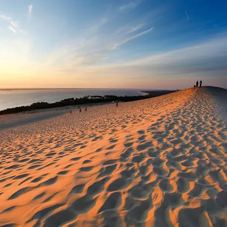 Jardin Les Viviers Cap-ferret * Lège-Cap-Ferret