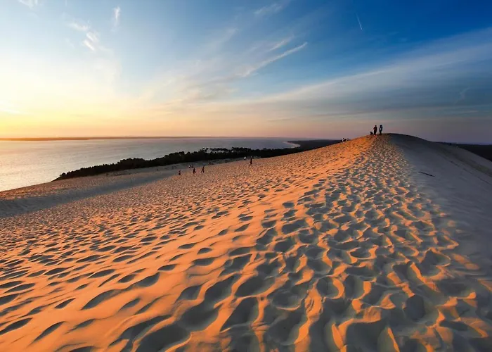 Jardin Les Viviers Cap-ferret * Lège-Cap-Ferret